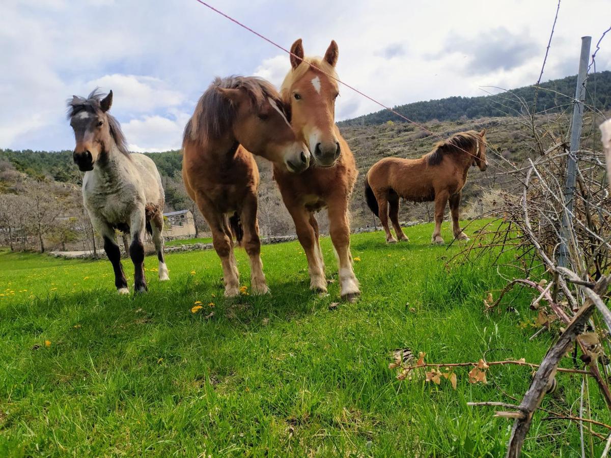 Hostal Pas De La Pera Aransá Exteriör bild
